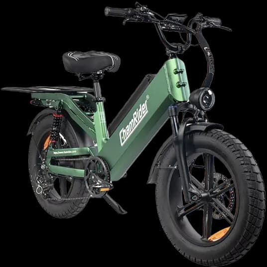 chamrider-dm55
